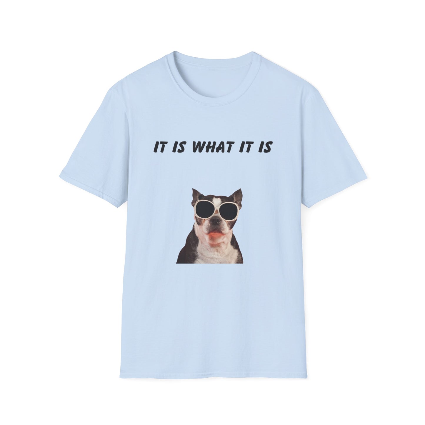 It is what it is