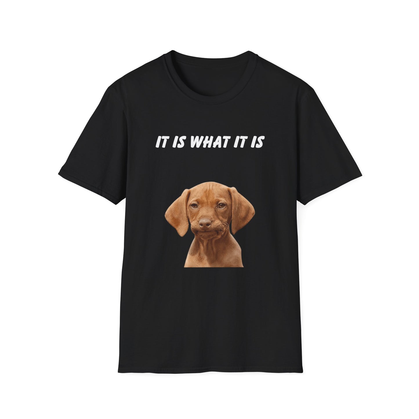 It is what it is